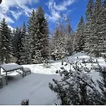 Apartment Hoehwald - Maranerhang Arosa