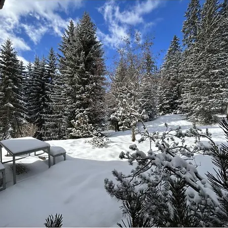 Apartamento Hoehwald - Maranerhang Arosa