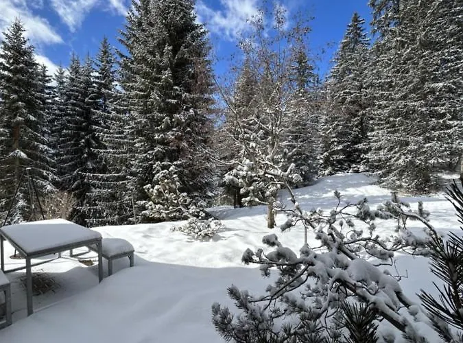 Apartamento Hoehwald - Maranerhang Arosa